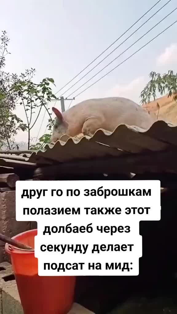 @HHsn