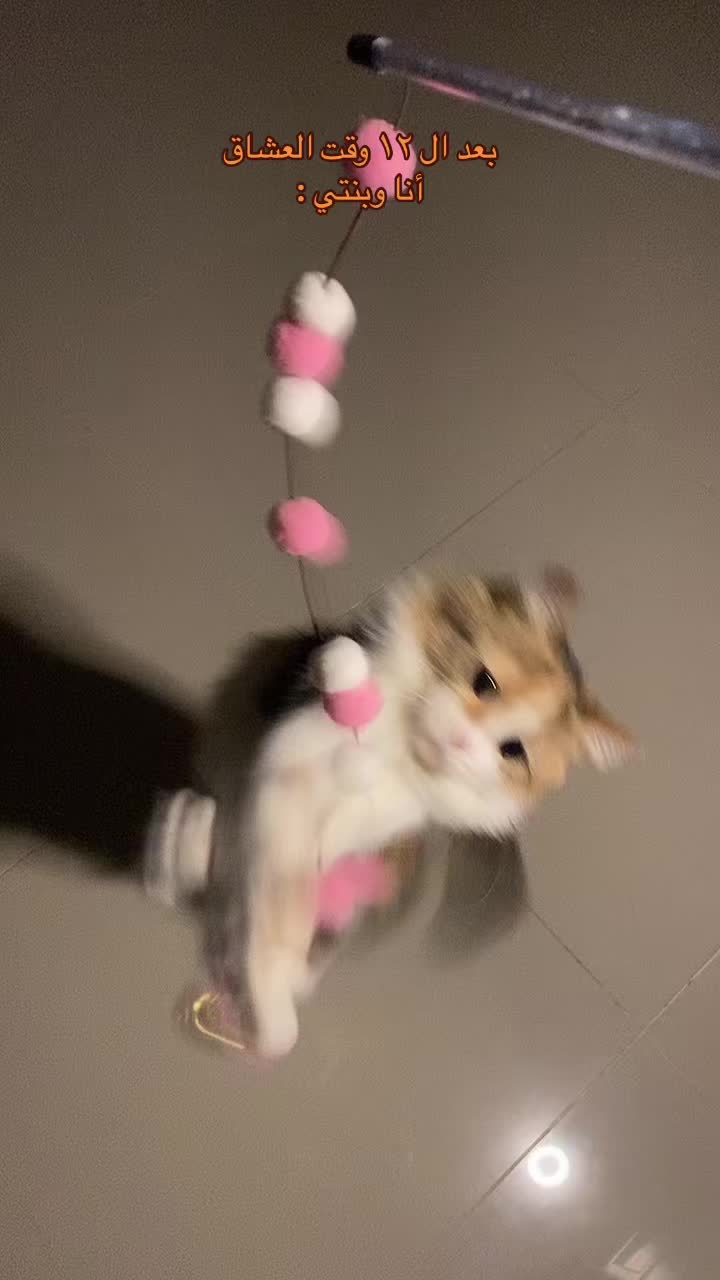 @Yunameow7