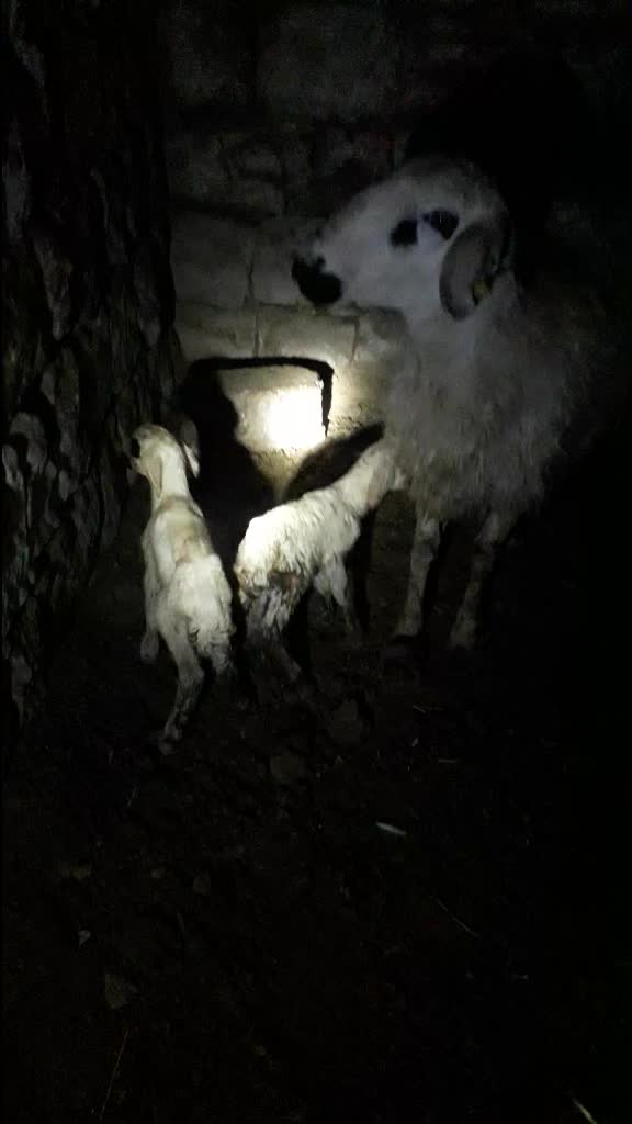 @Hacı Özel