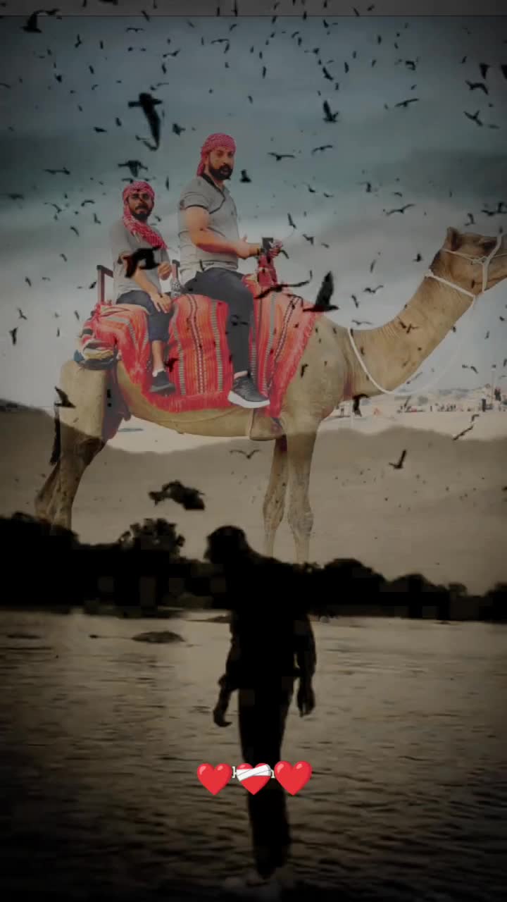 @⚔️Shabbir⚔Bhandara⚔