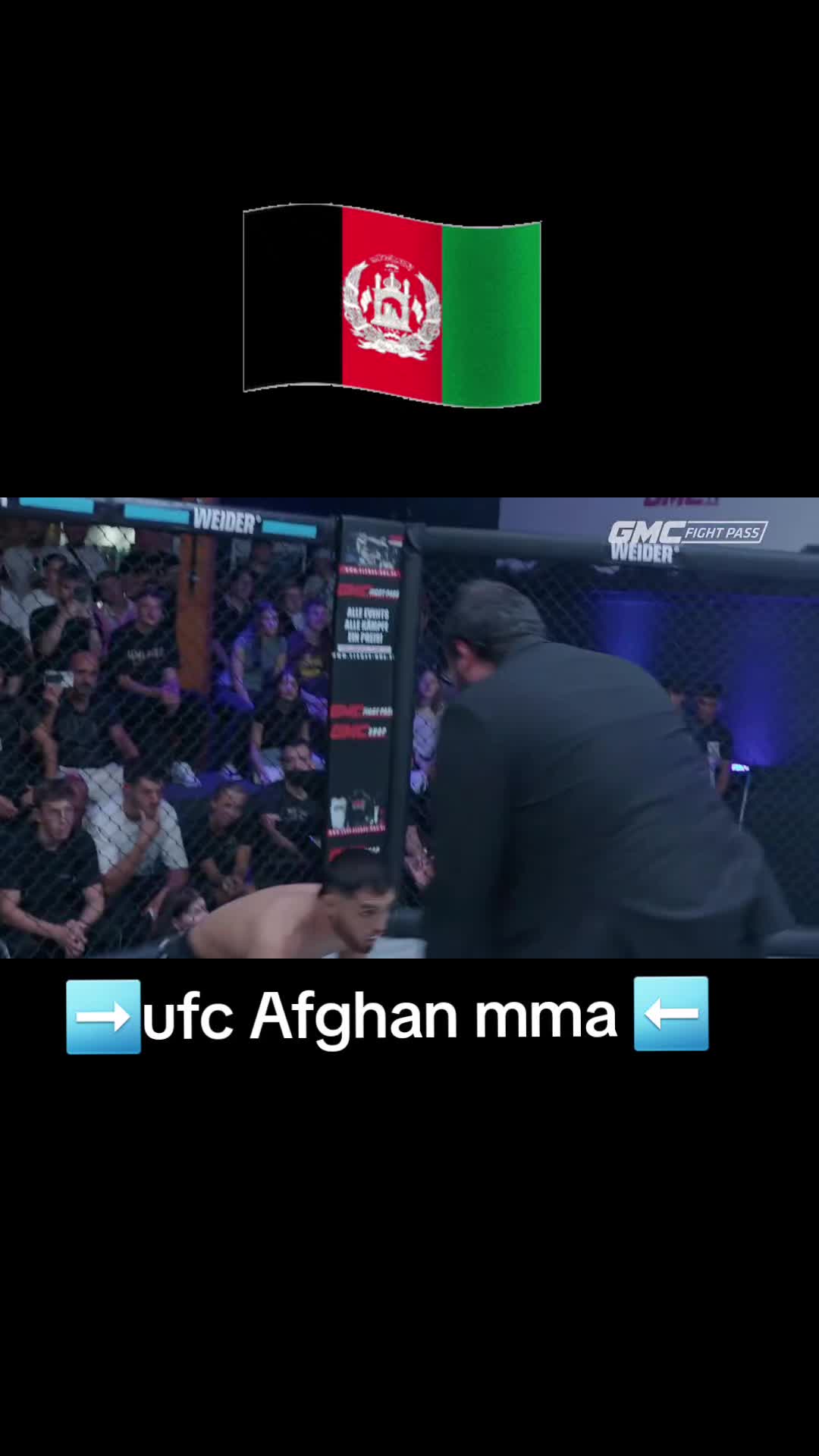 @MMA Fighiting