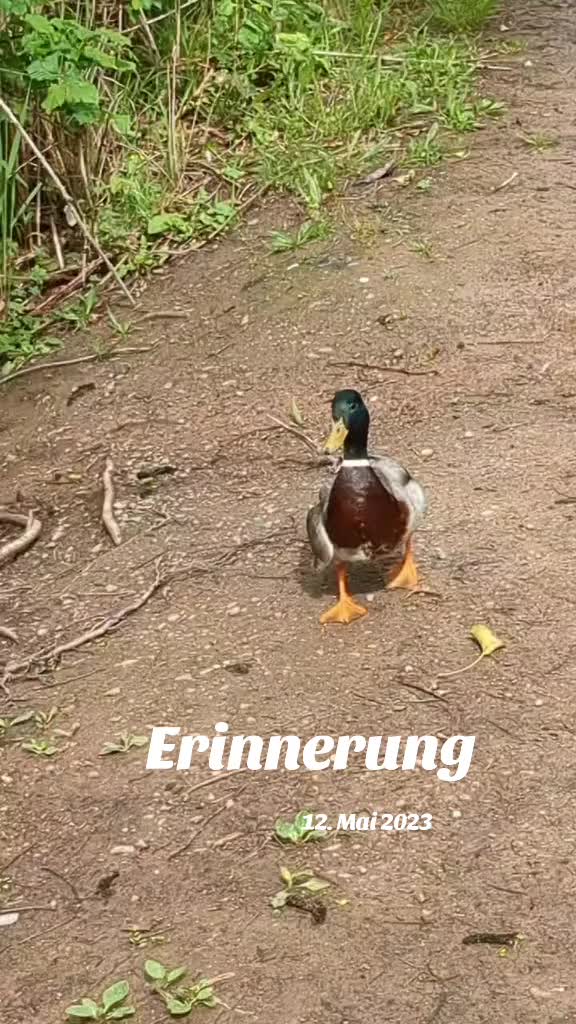 @Nationalität Mensch