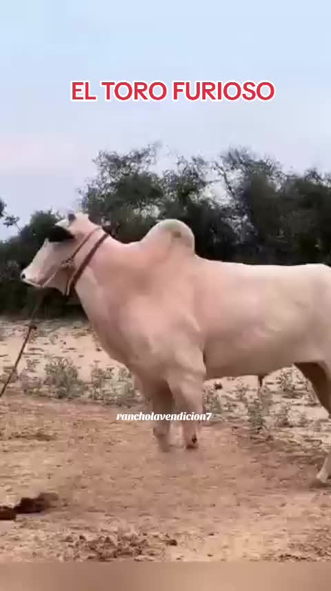 @NATURALEZARANCHO