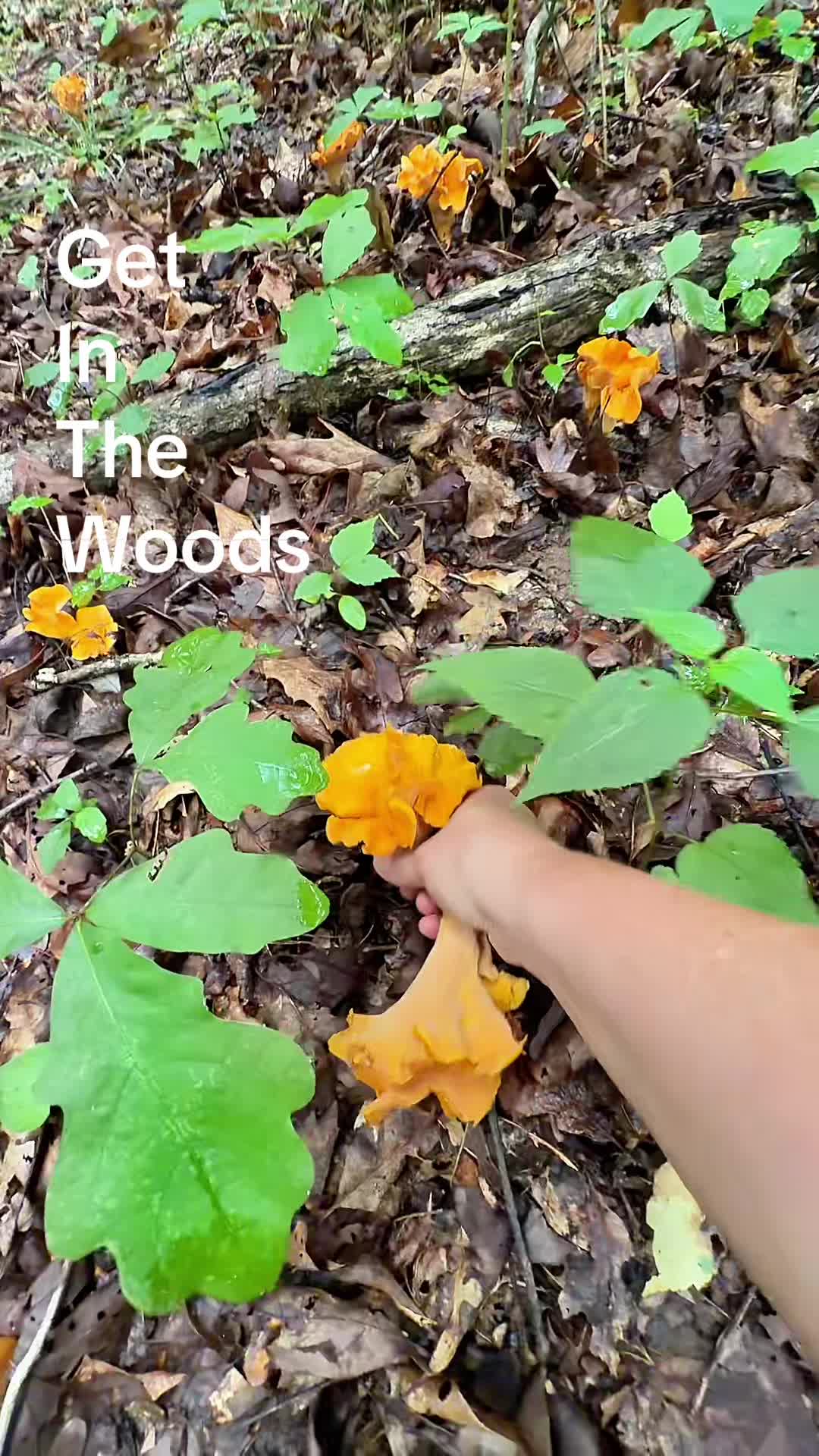 @lovedbyheather