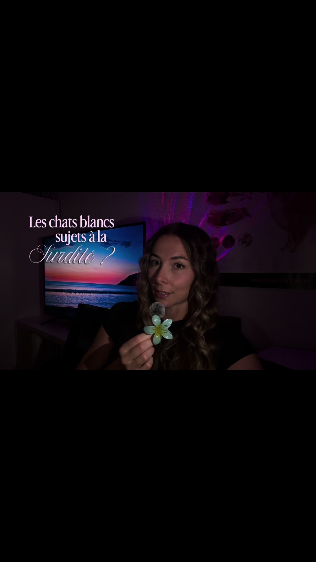 @Animae Ostéo