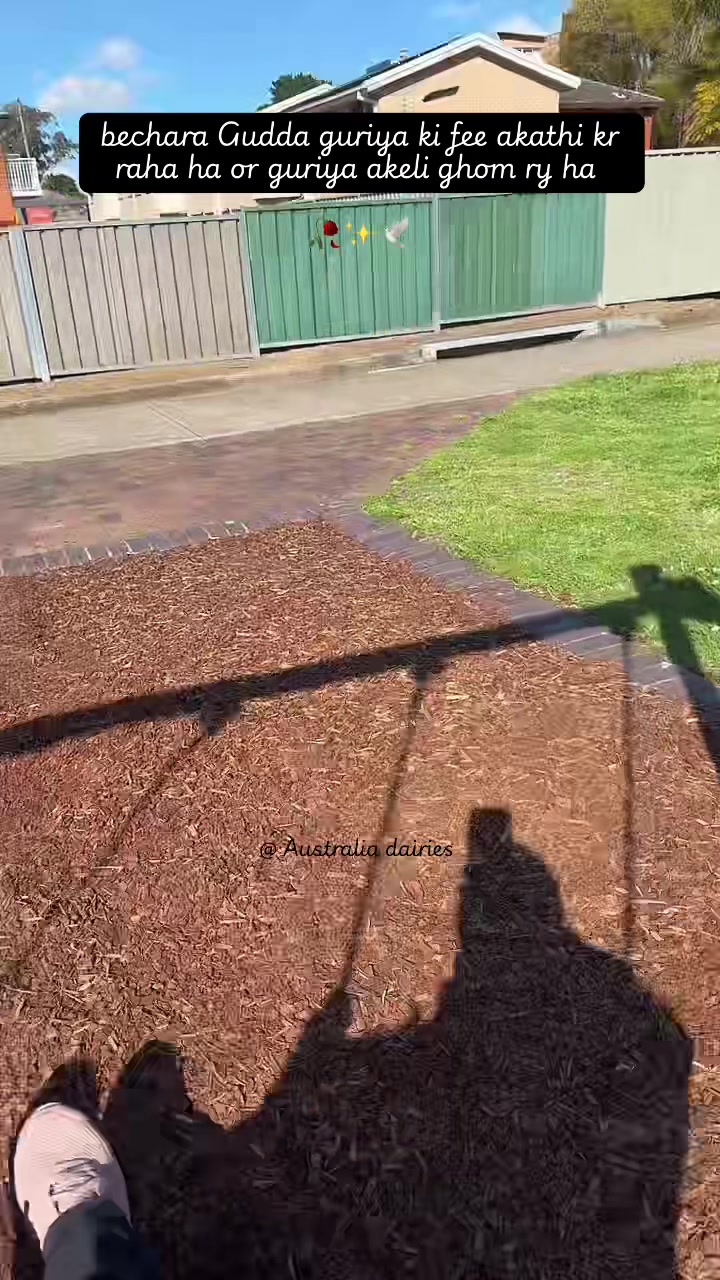 @Australia Dairies 🇦🇺