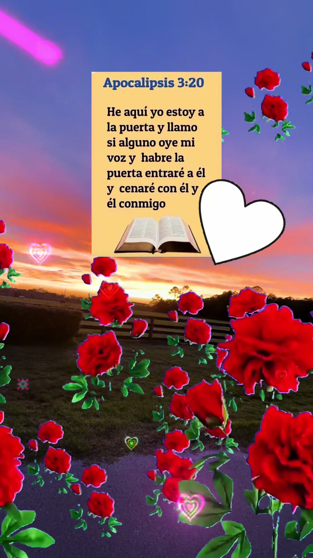 @🙌🏻🦋Sandra🙌🏻🦋
