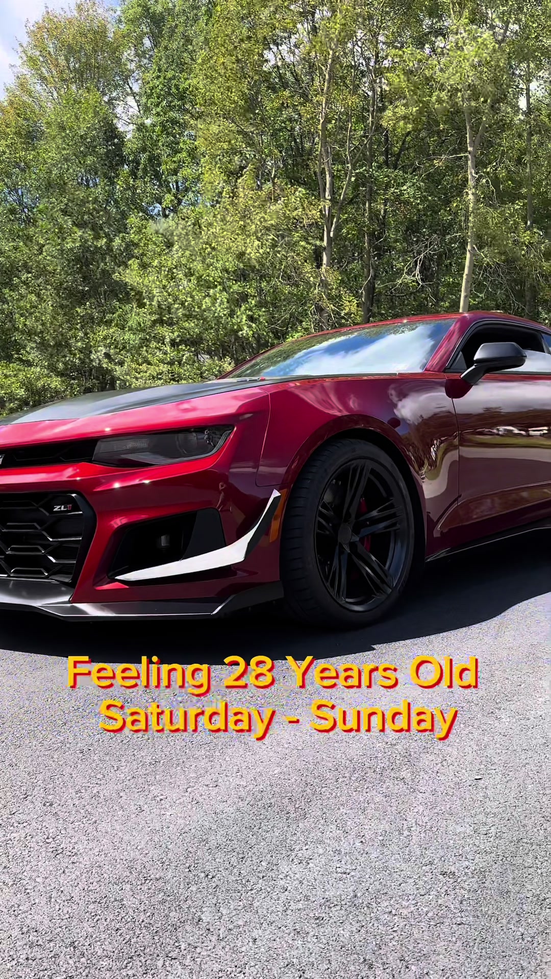@VR ZL1