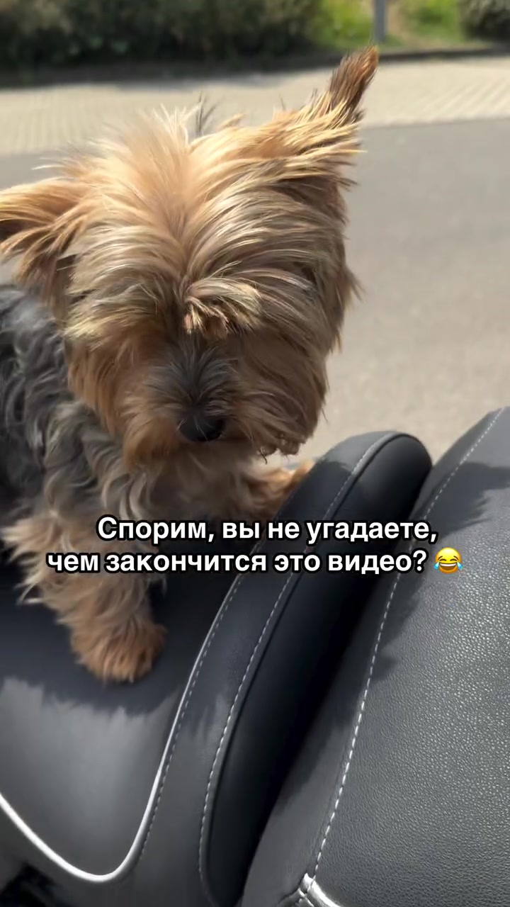 @elenawacker