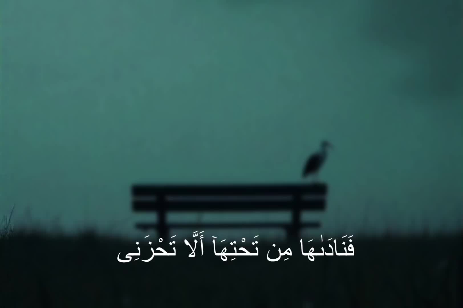 @ابابيل"| ababil"