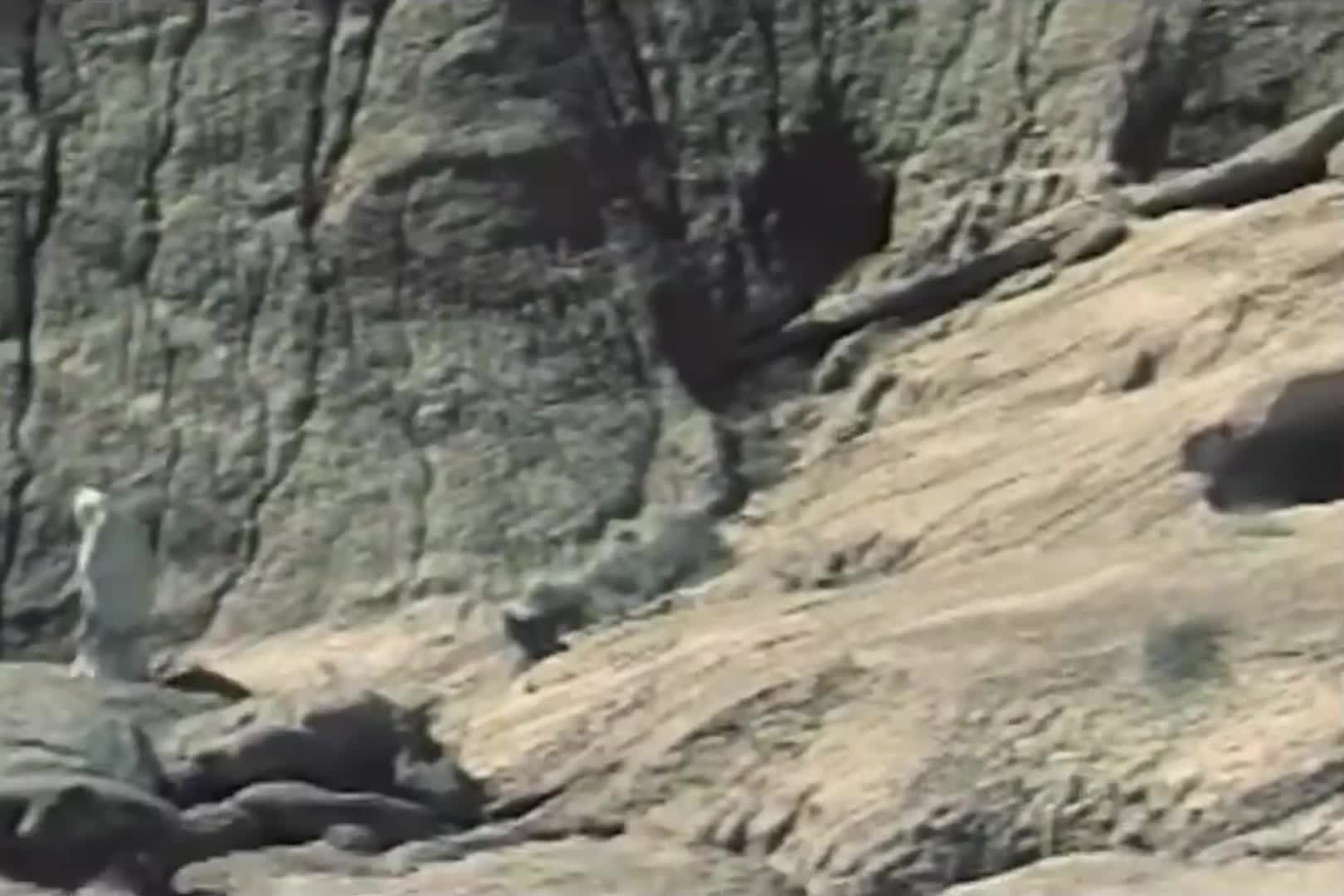 @𝐒𝟒𝐅𝐄𝐍 𝐊𝐔𝐑𝐃𝐈 ✹