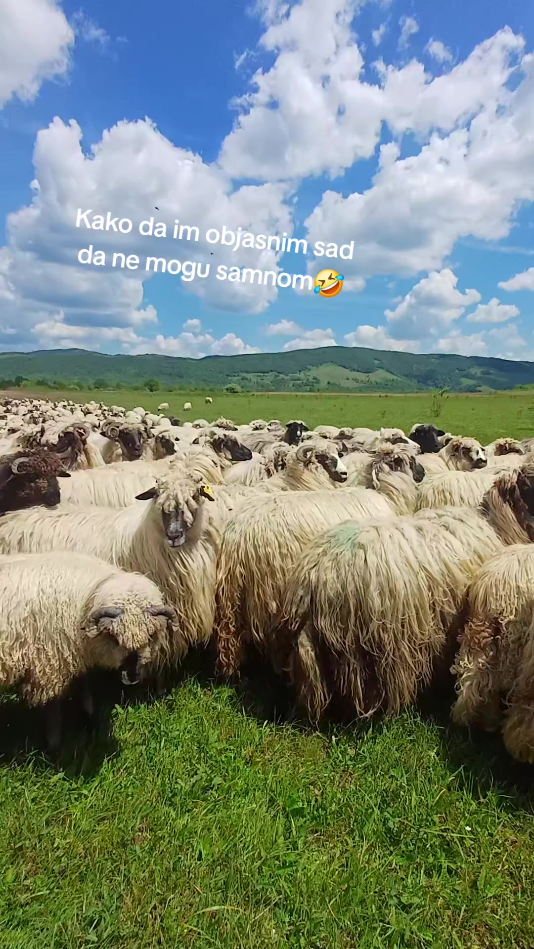 @ganibeg