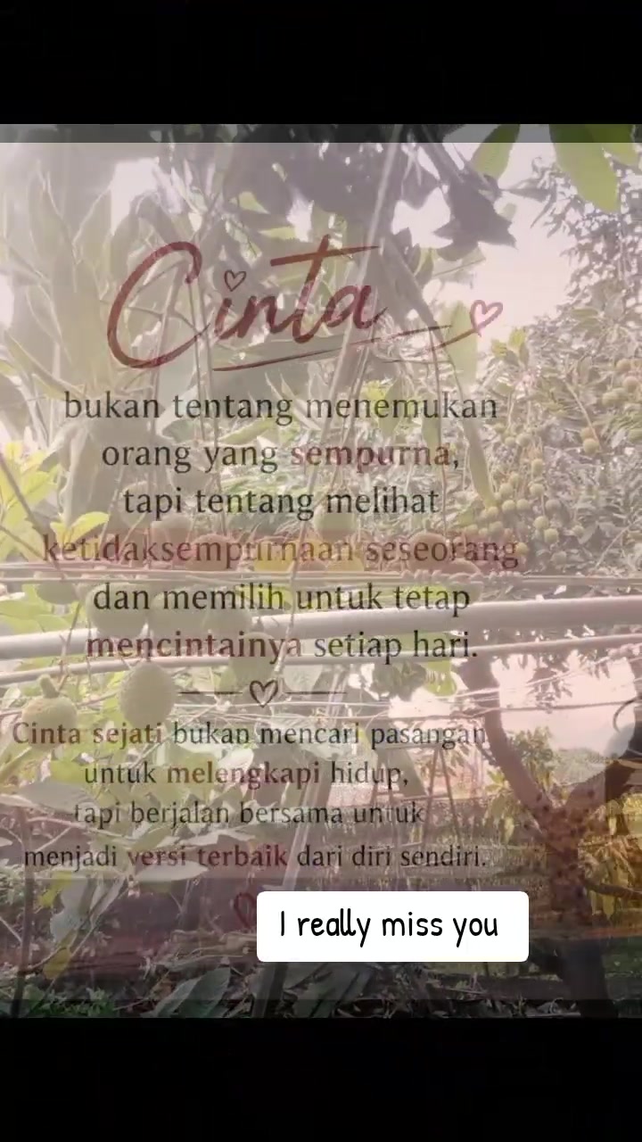 @kamilaitis2
