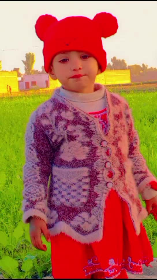 @Dilawer Zaman 804