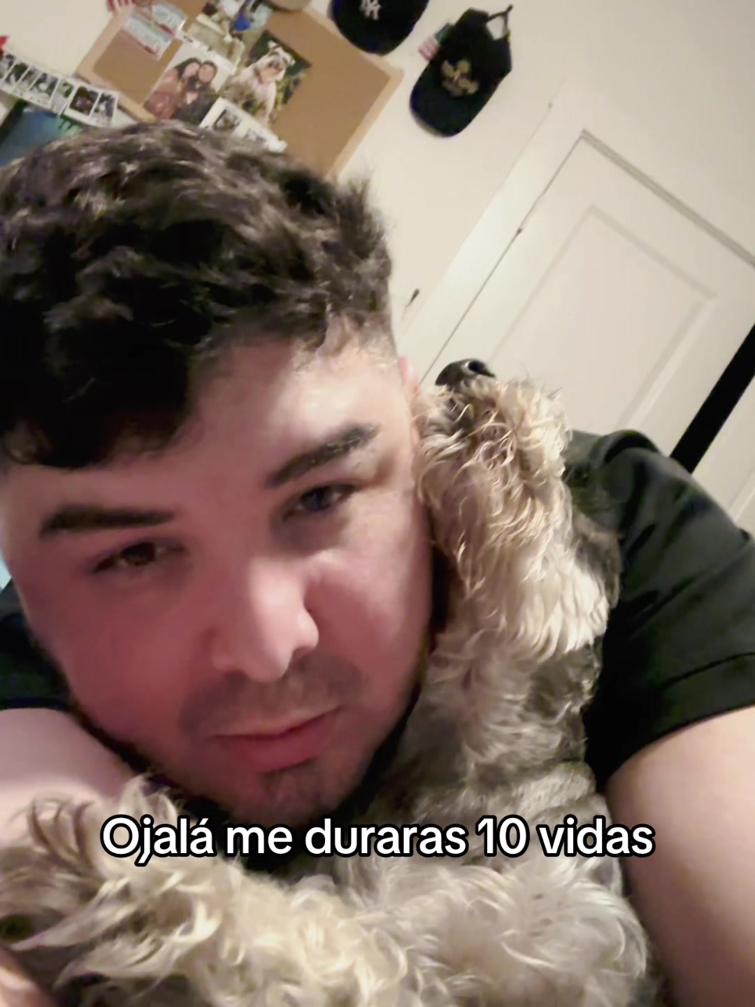 @Jesús Fernando