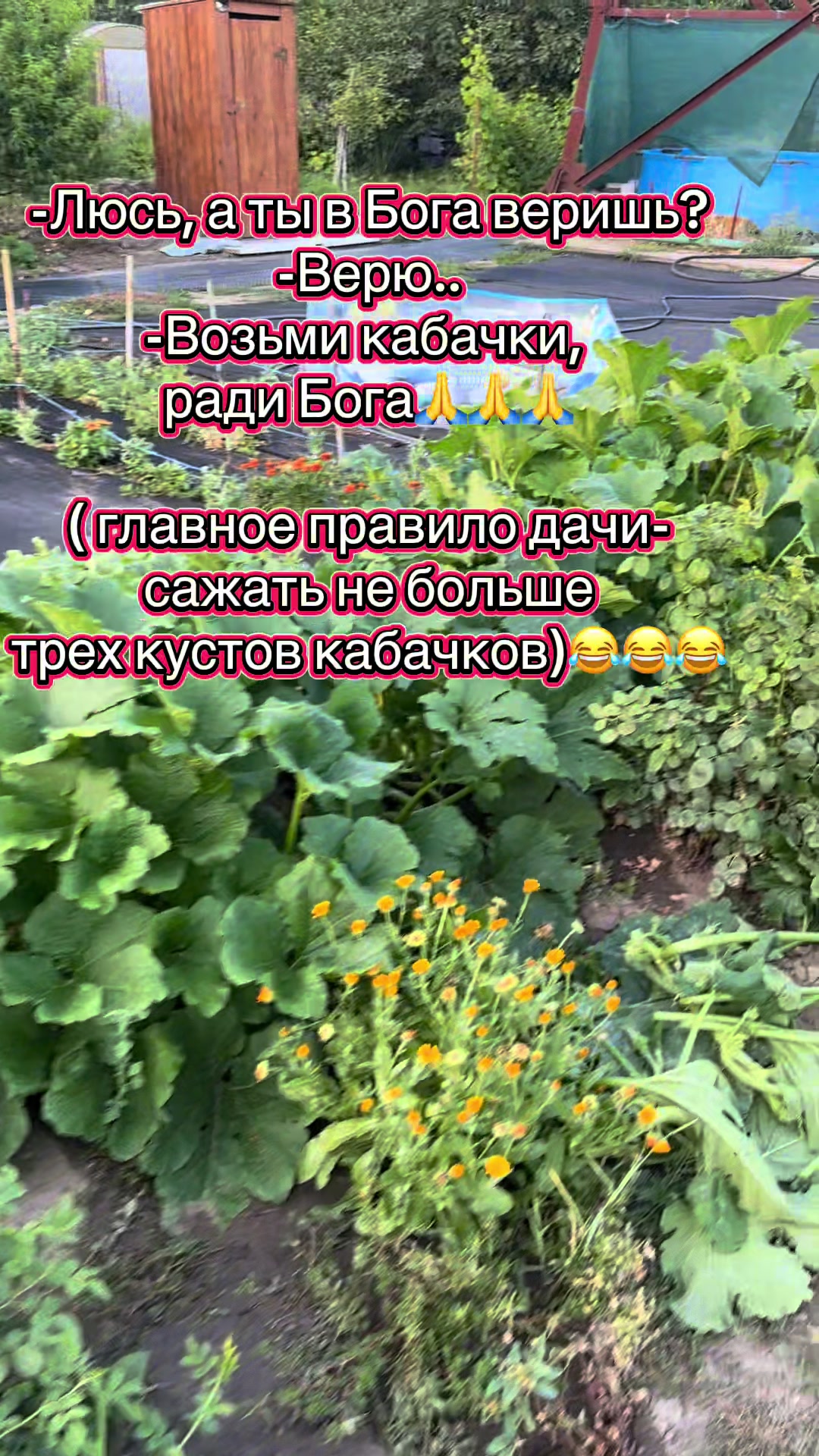 @Анна