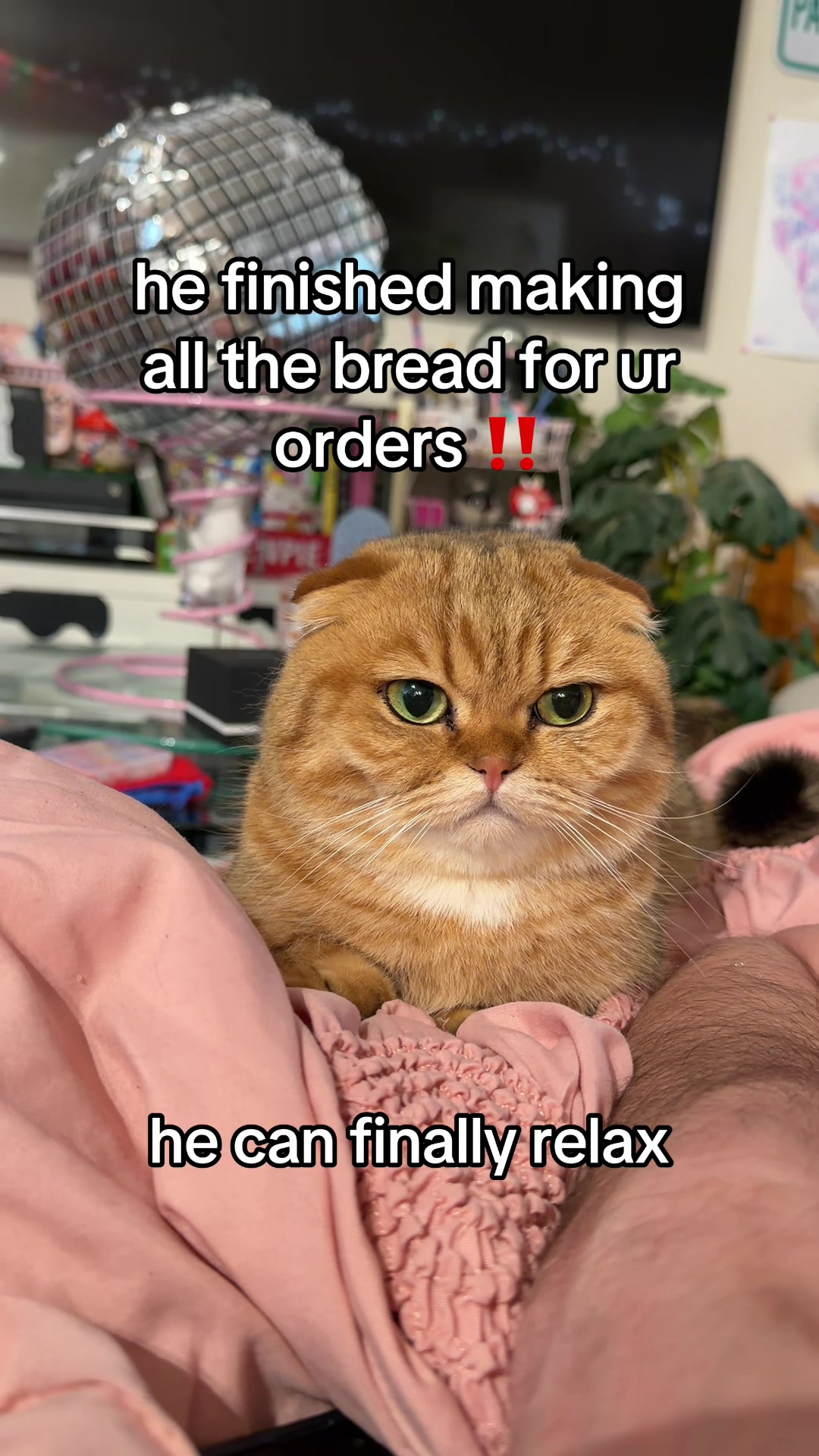 @honey butter chicken biscuit