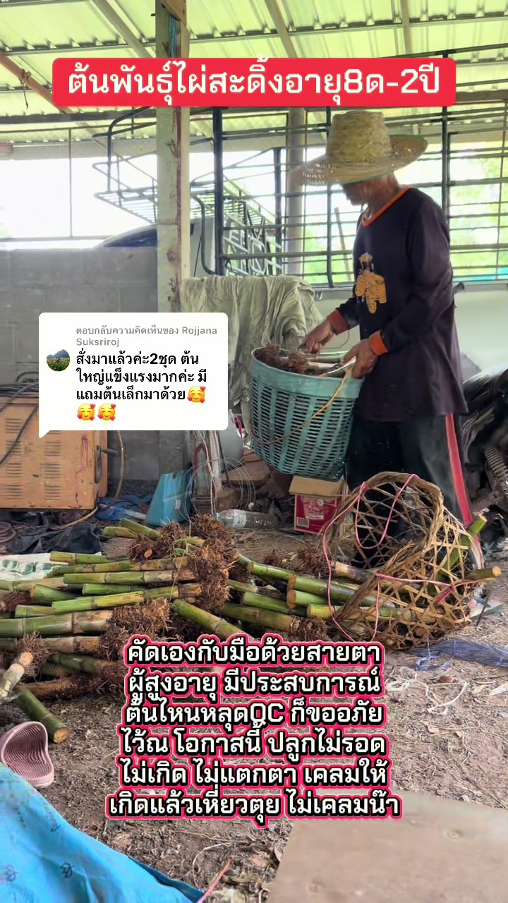 @นัดดาชอป