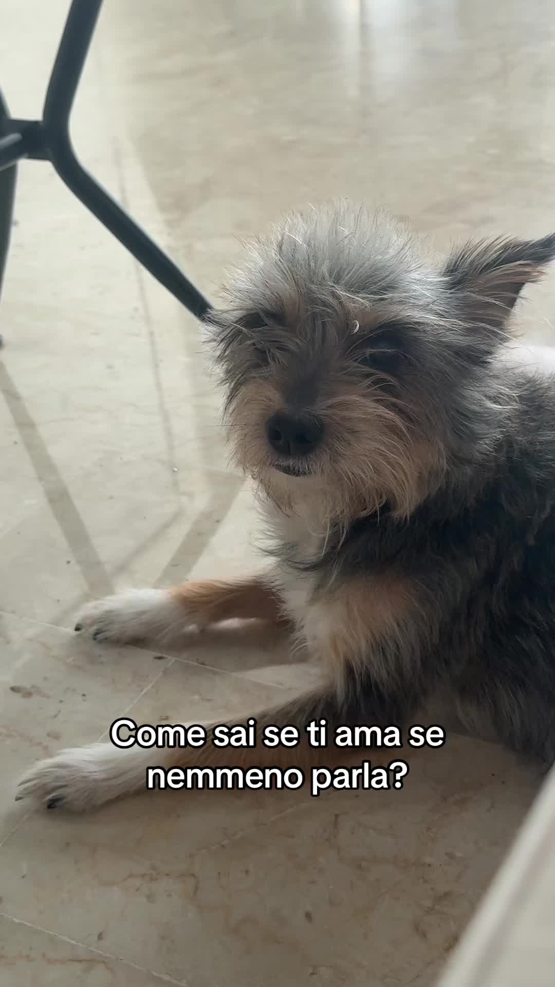 @Rosanna Fortuna🧿🪬
