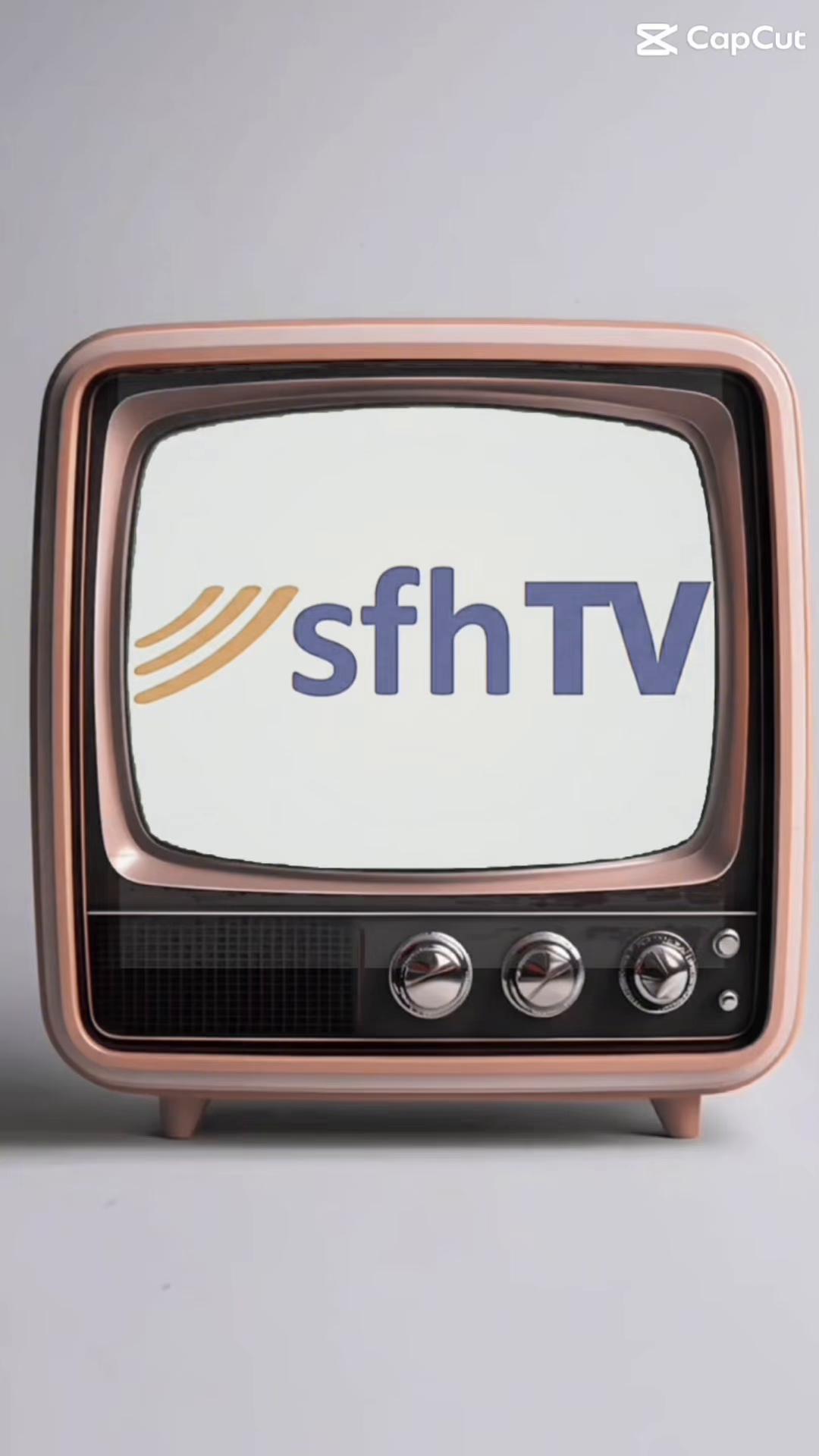 @sfh Steuerberatung