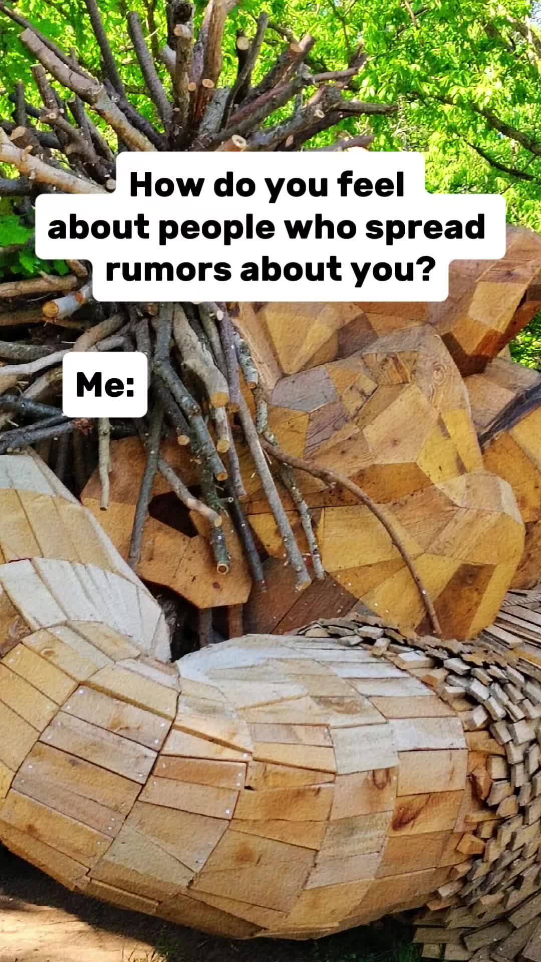 @user4309633098699