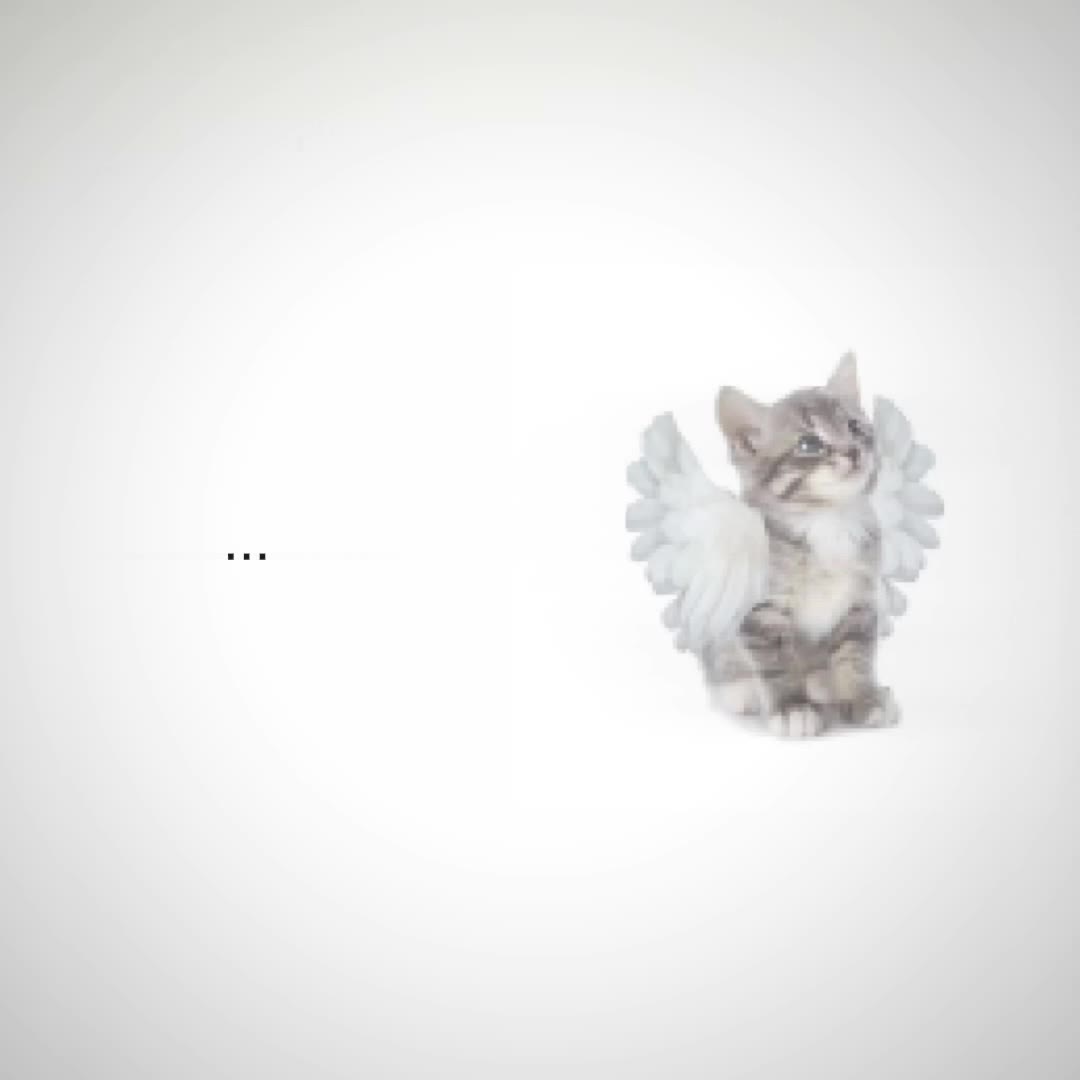 @meowwv#12:39.