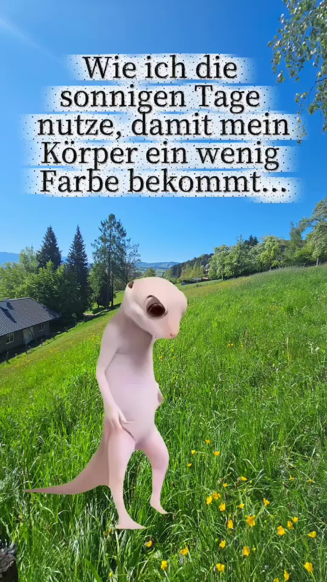 @storfine
