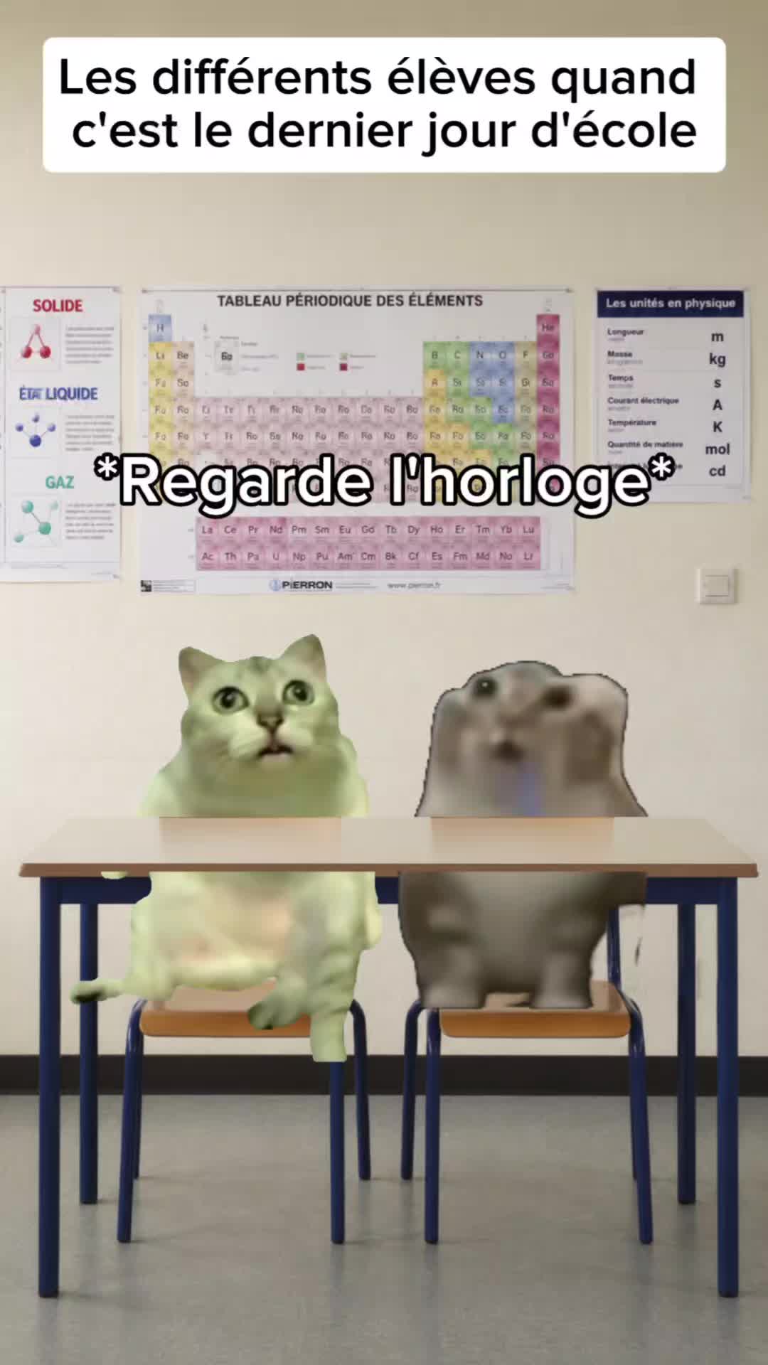 @shorts2chat 😽