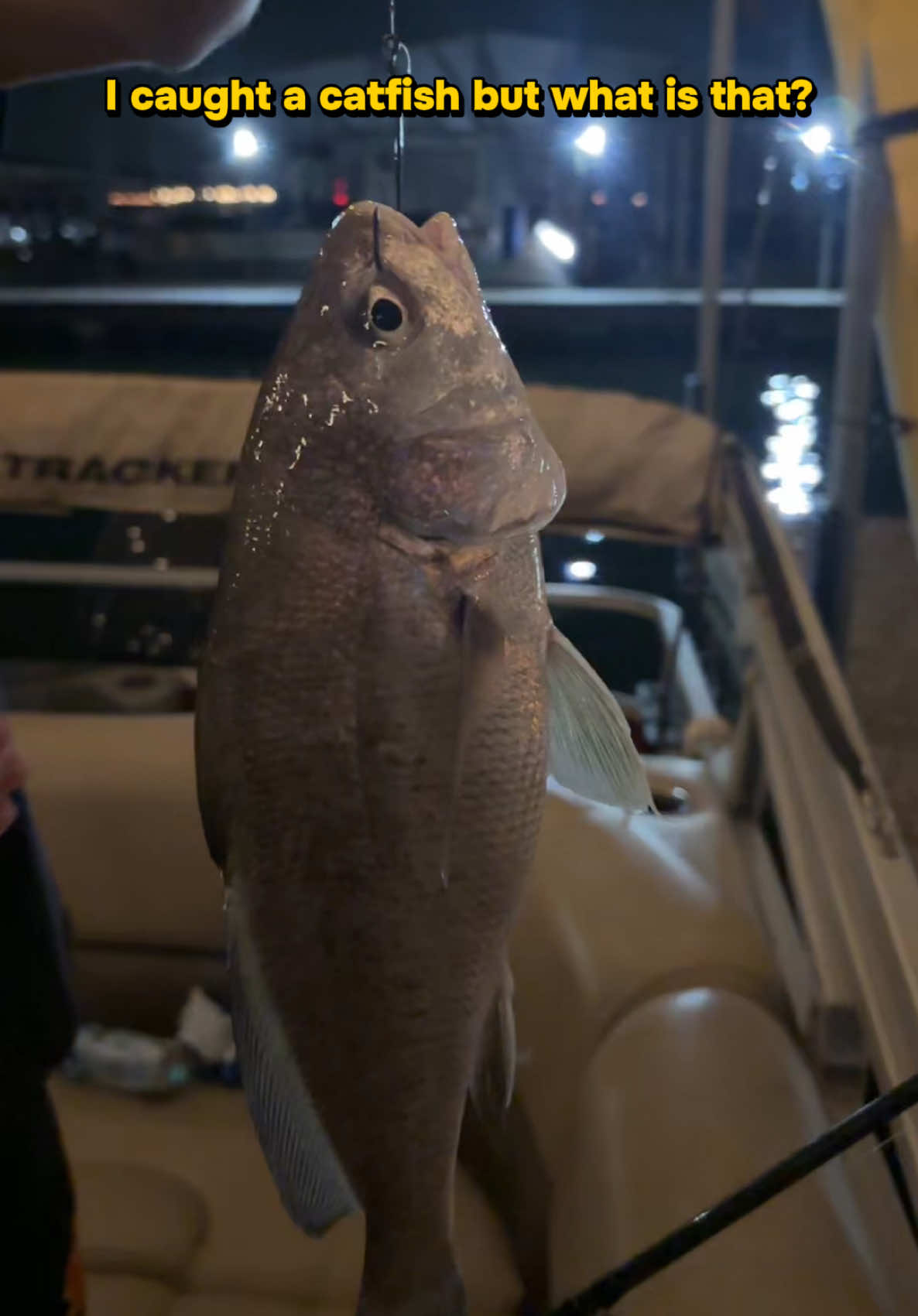 @ethan4fishing