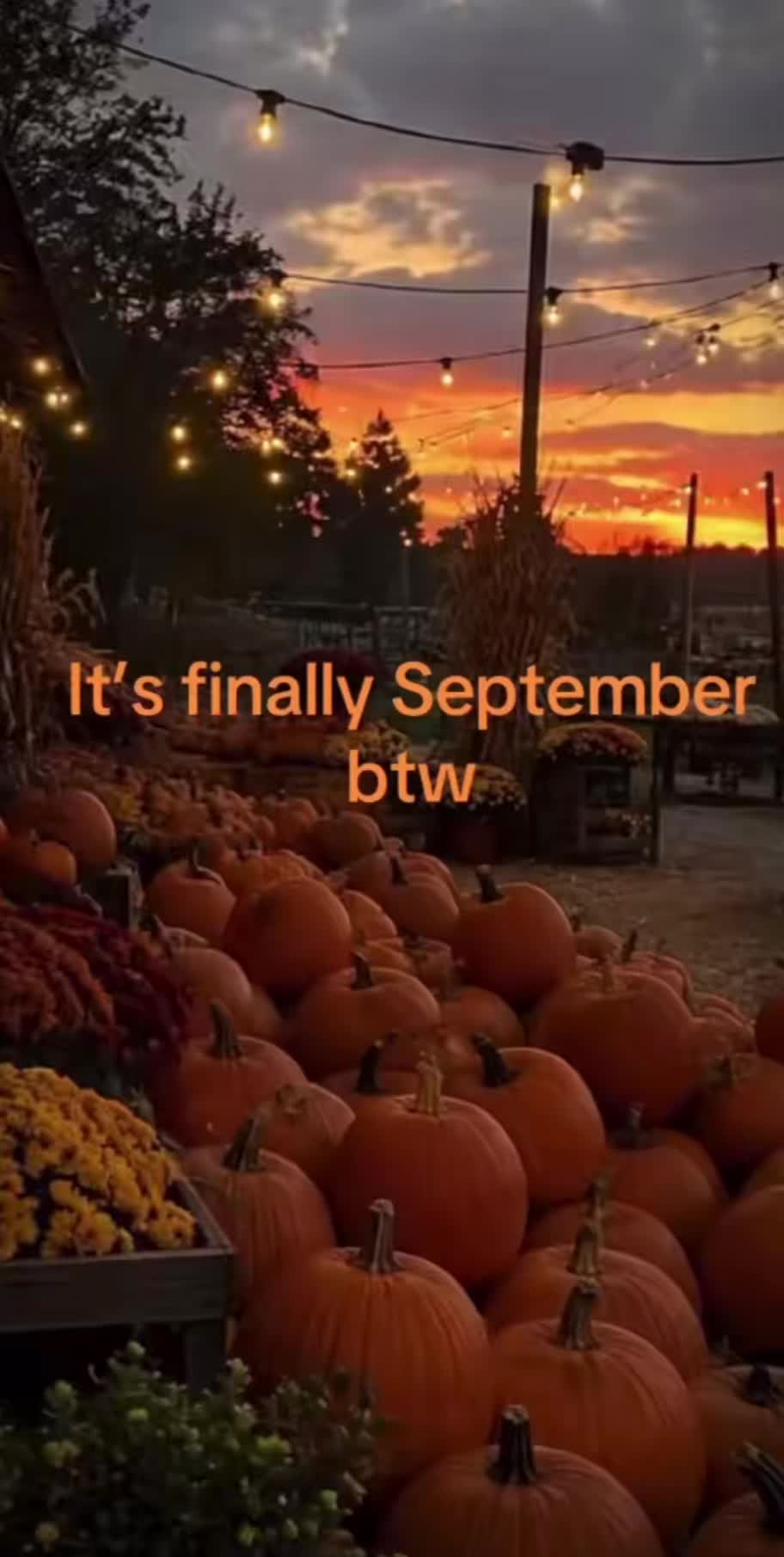 @Xss360