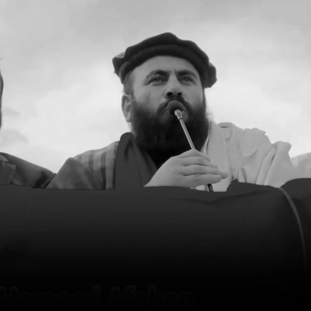 @Shahab Safi 🚩