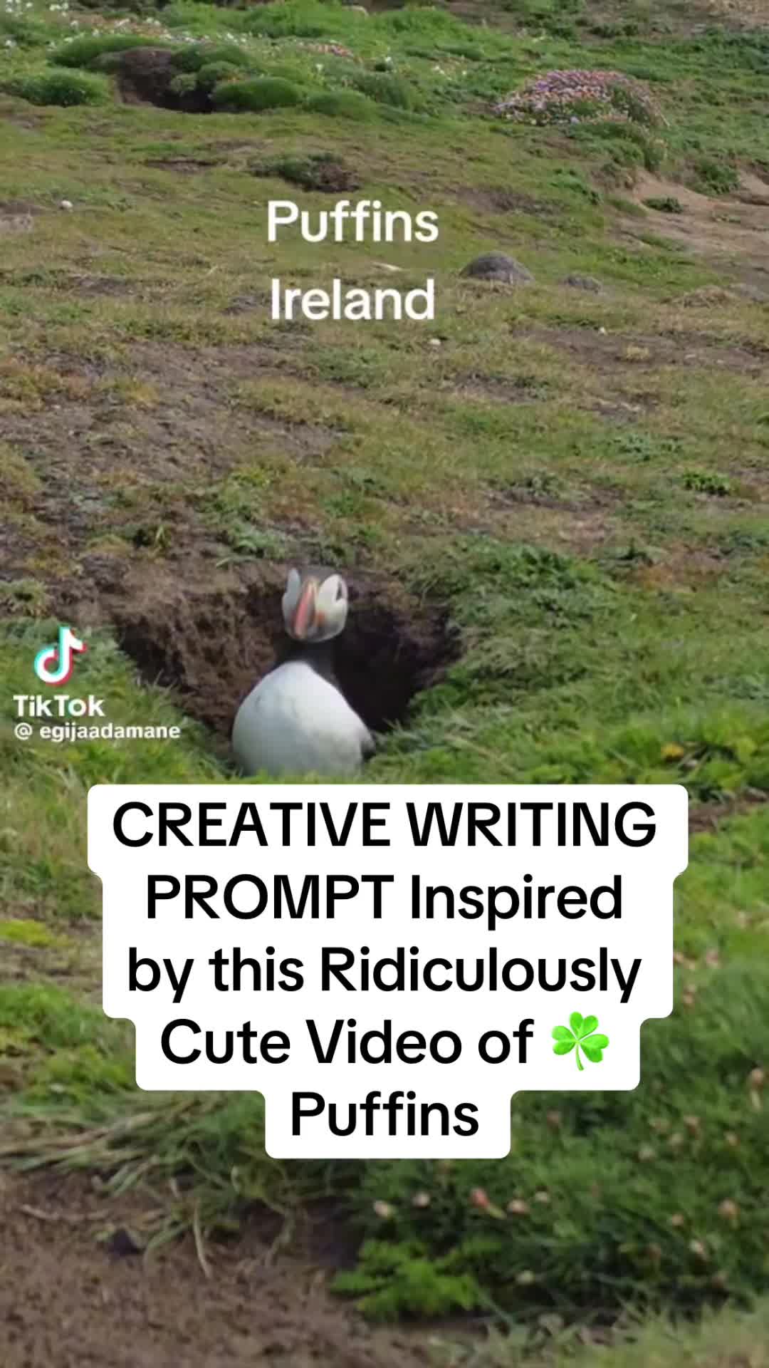 @playwriting.with.purpose
