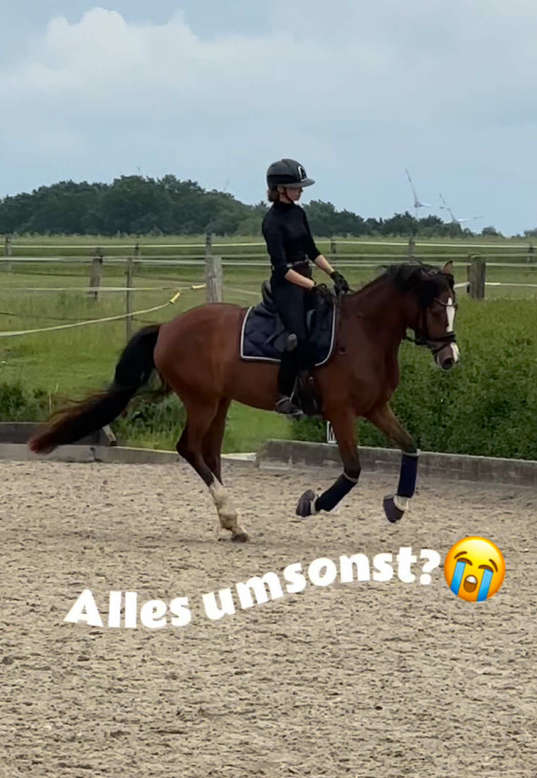 @lilgroponys