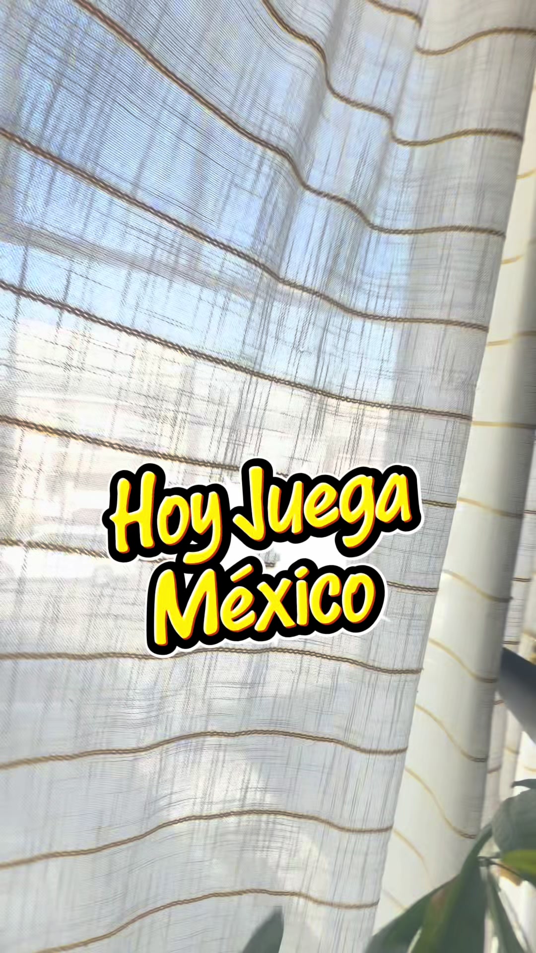 @erickaesquiviaslujano