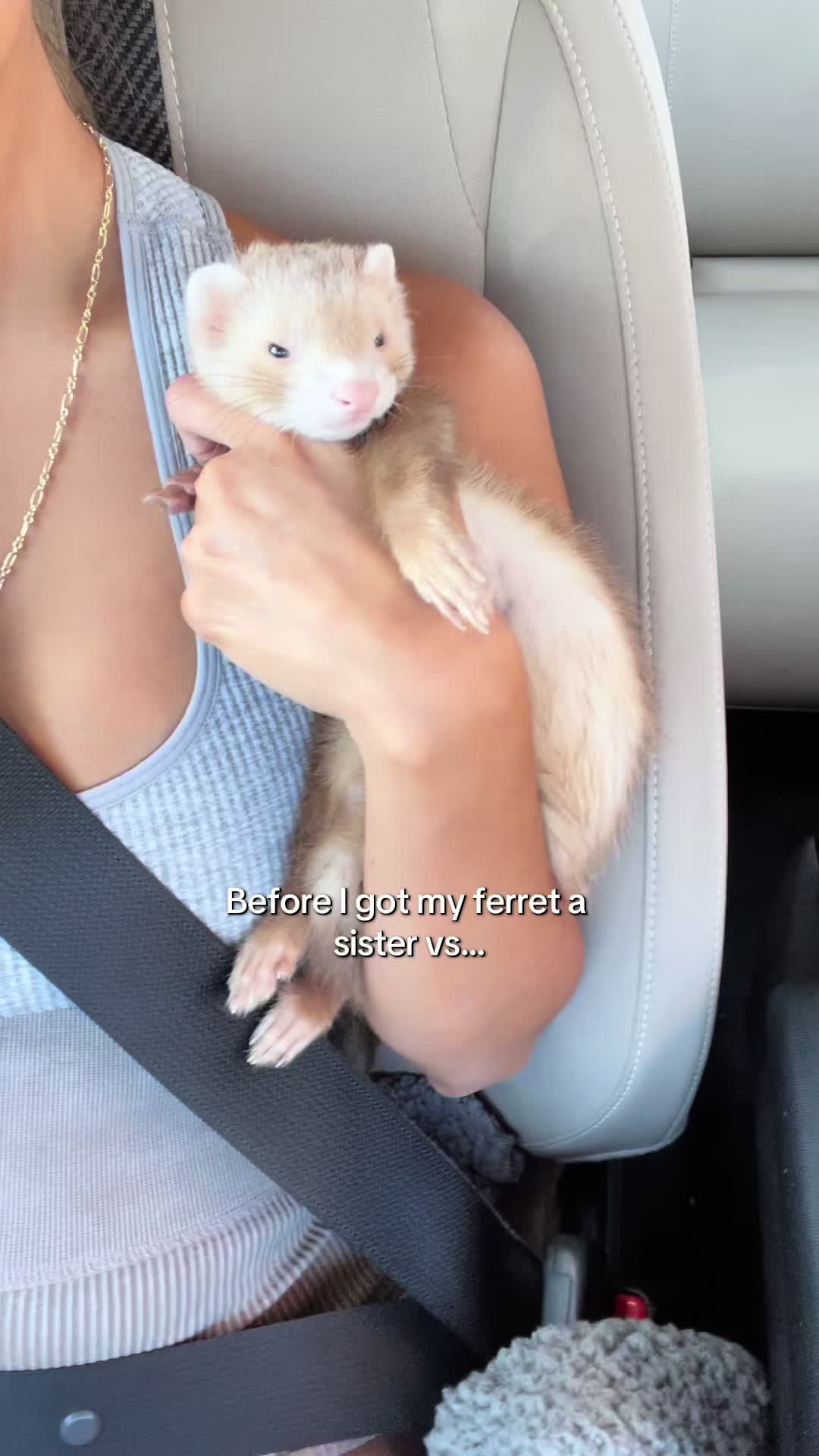 @Moon & Nala