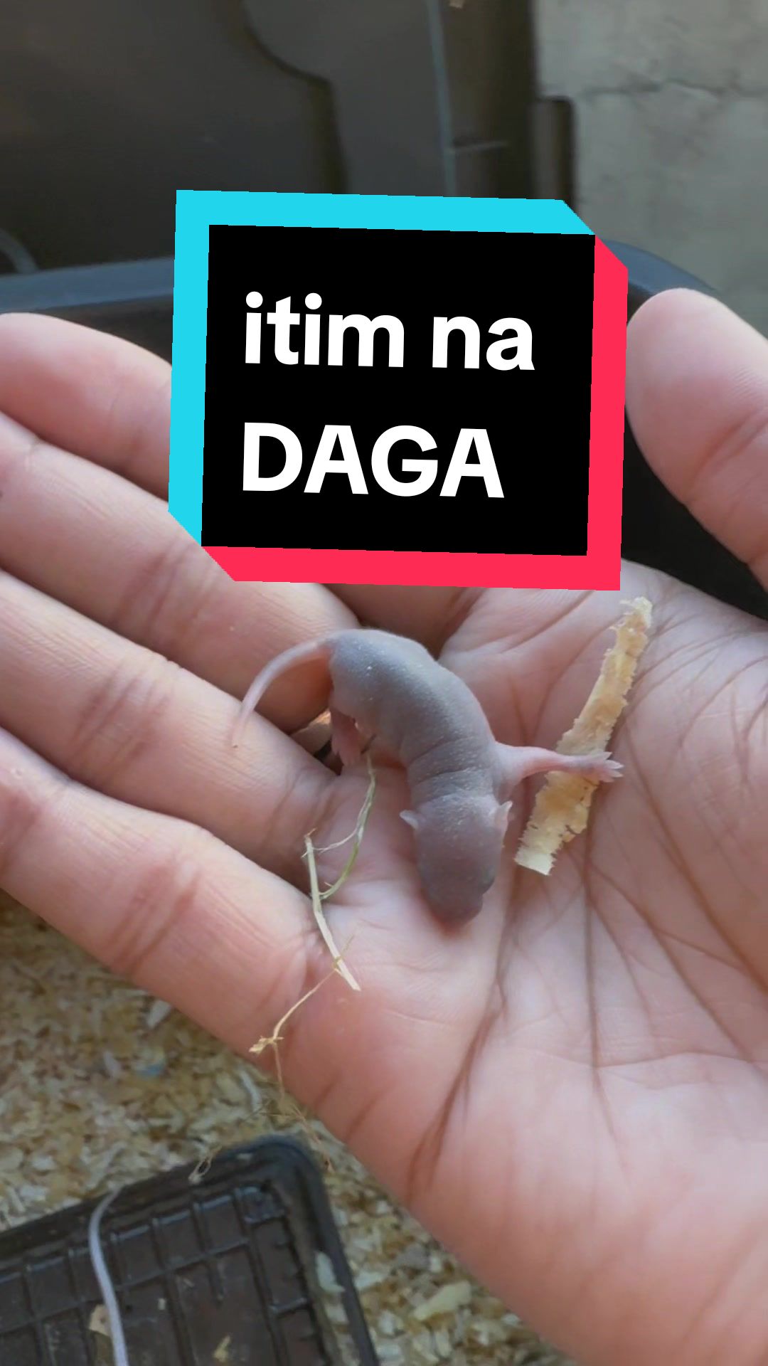 @FAFAMERR
