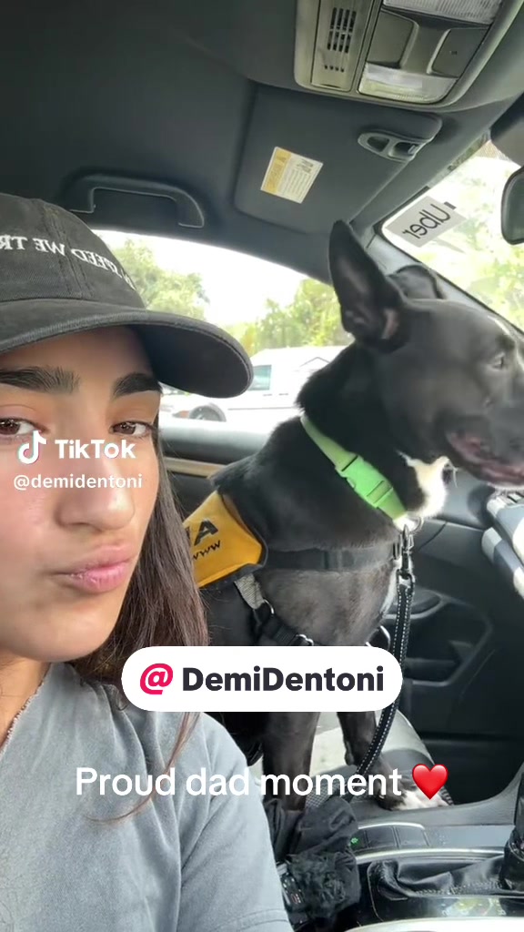 @dantedentoni