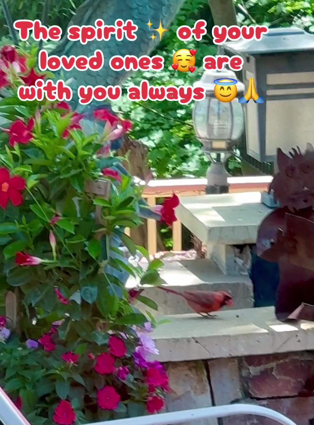 @E🌹