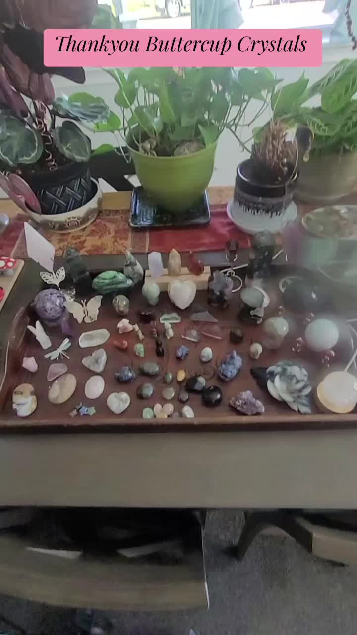 @Whiskers🐱Wisdom&Diamonds777❌️