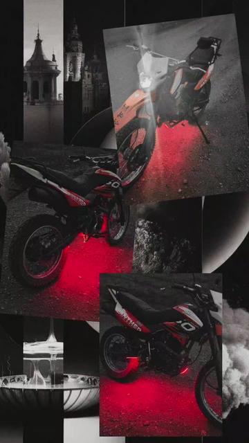 @panther 250