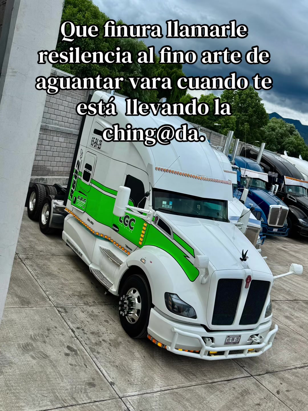 @luisspec