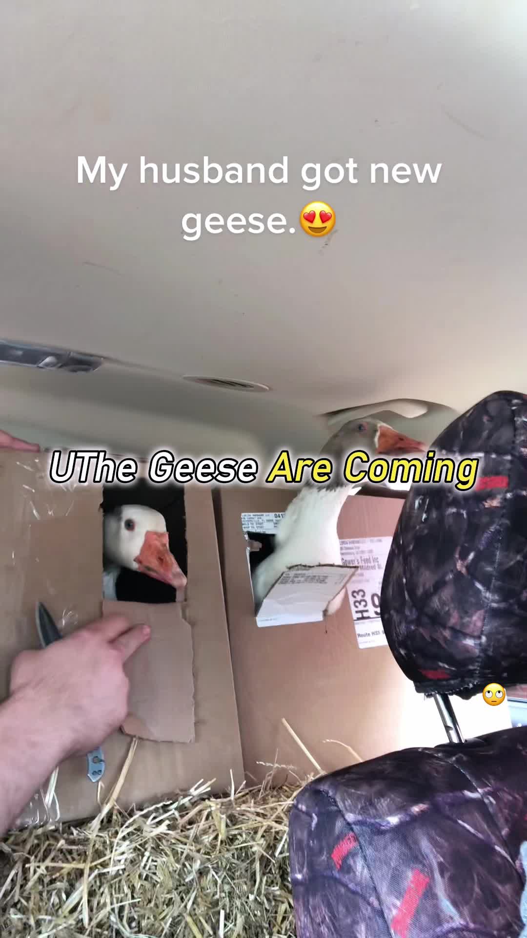@Milikkiyehh