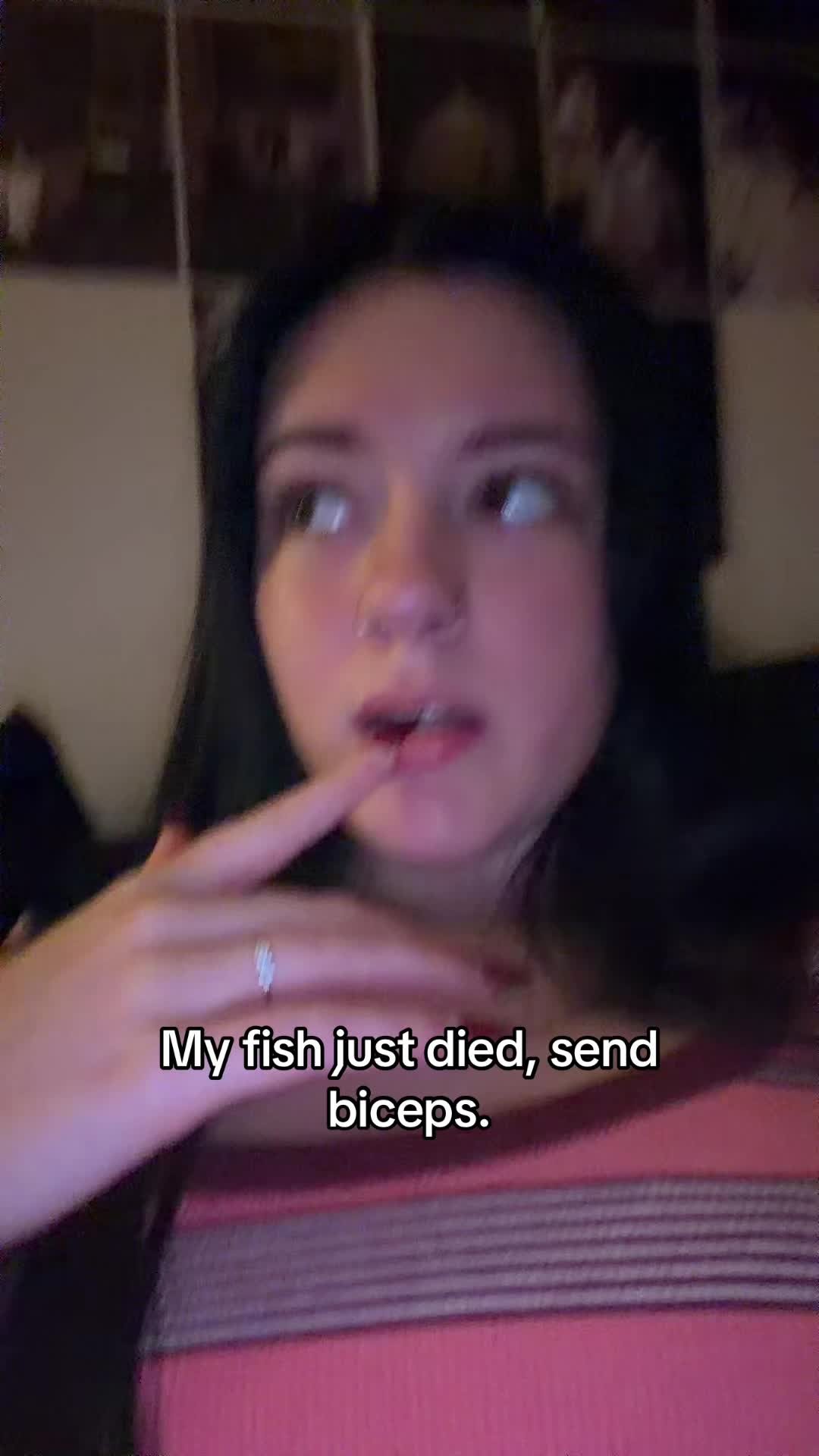 @lily 🩶
