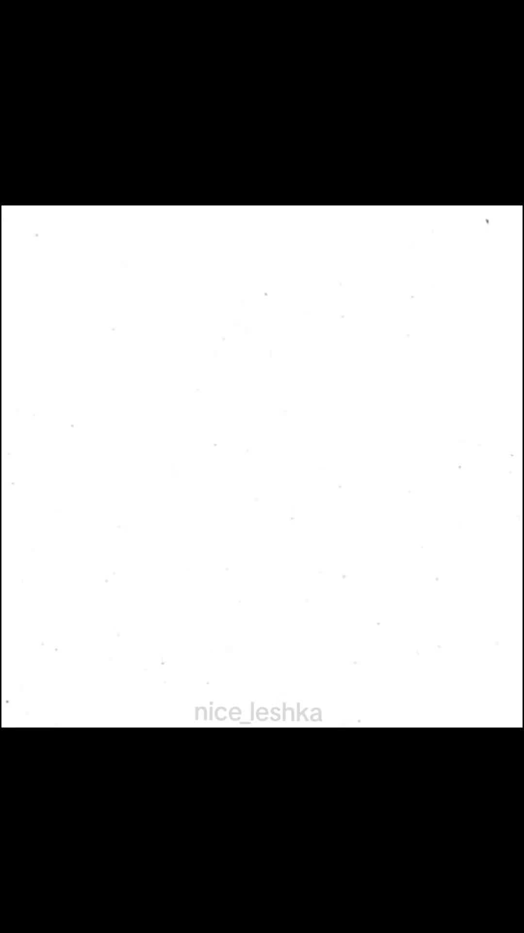 @nice.cat