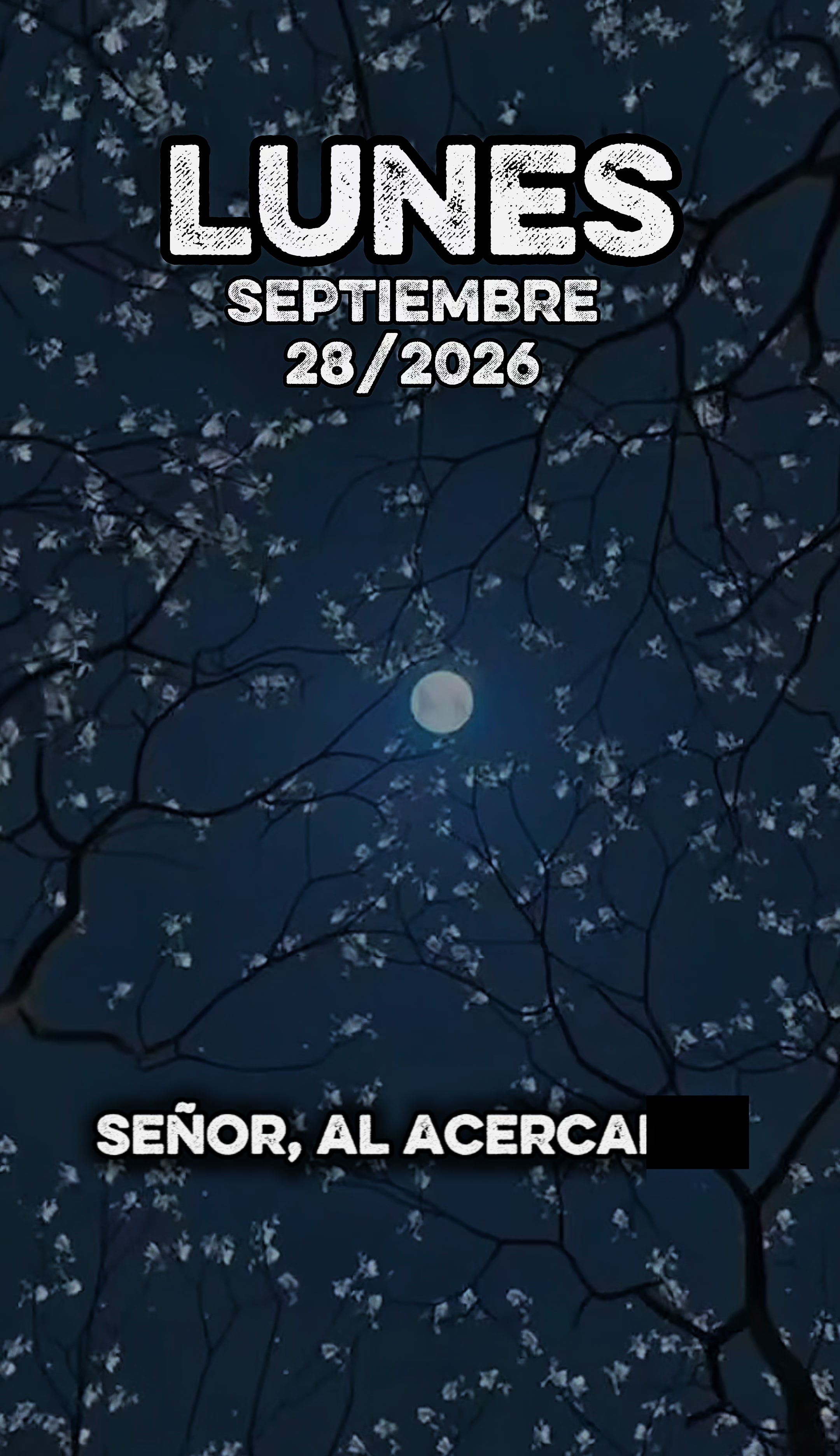 @Música del Cielo