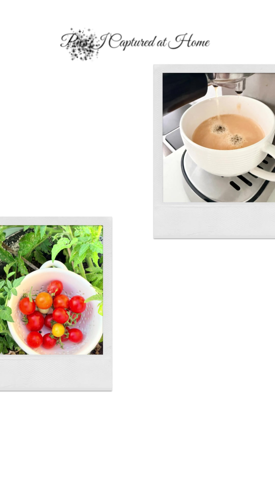 @ZW | Home & Lifestyle