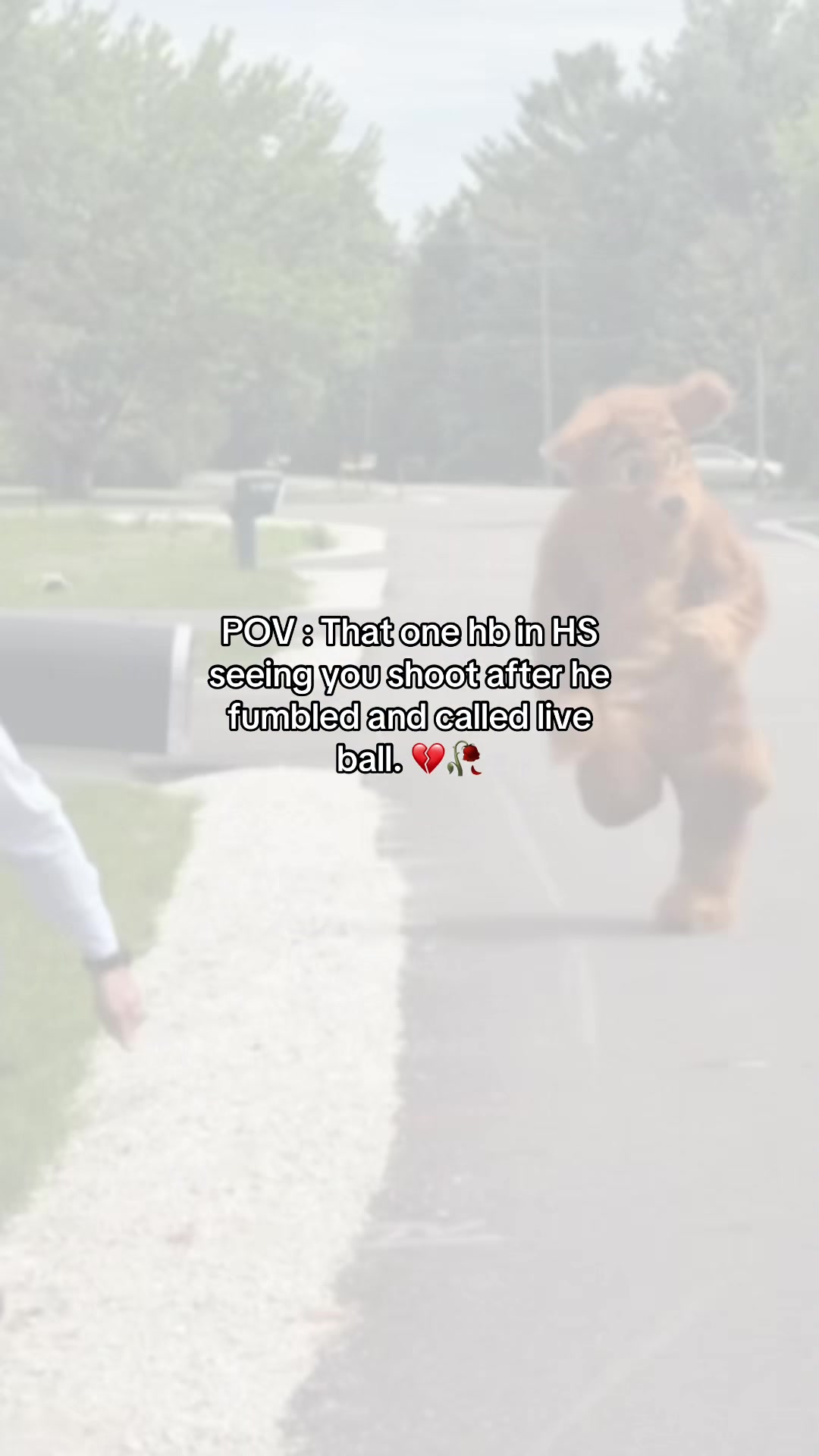 @Zenippoland