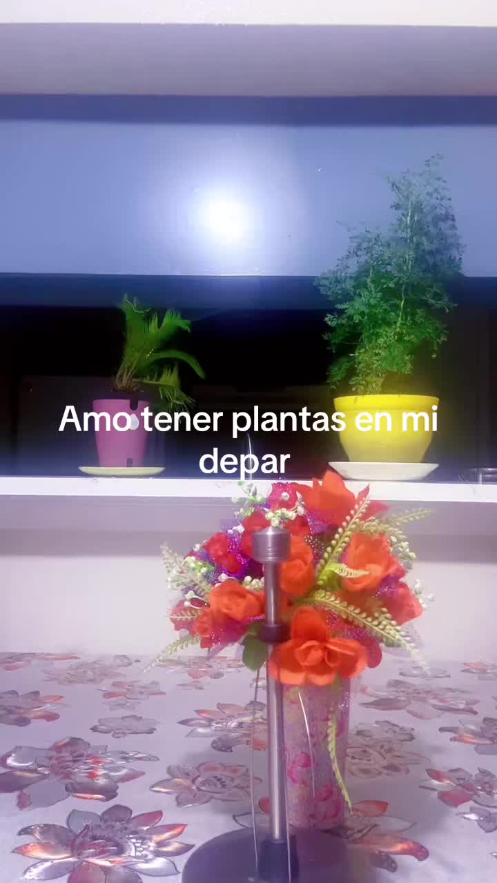 @miarodrguez078