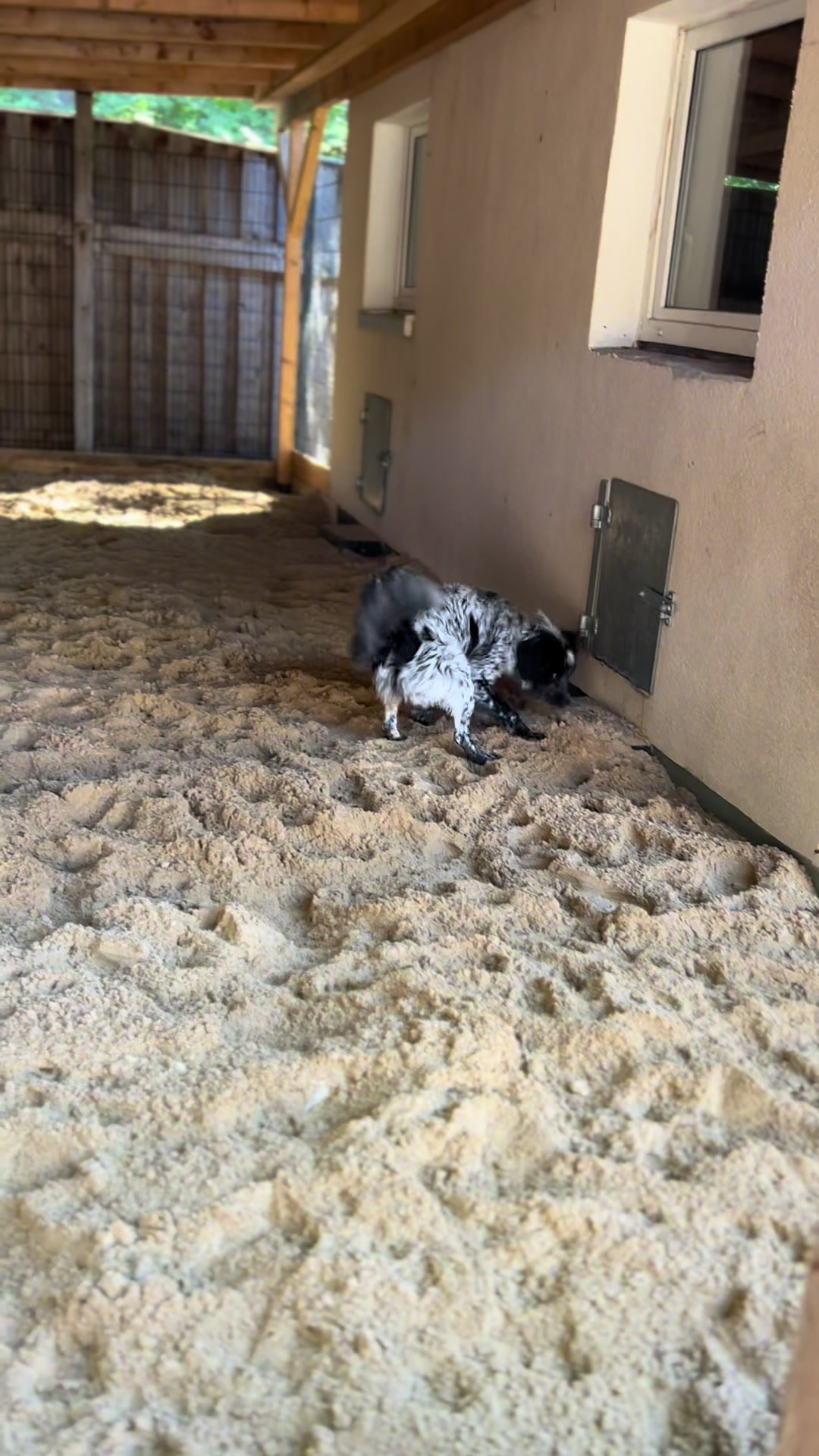 @Hunde- und Katzenpension