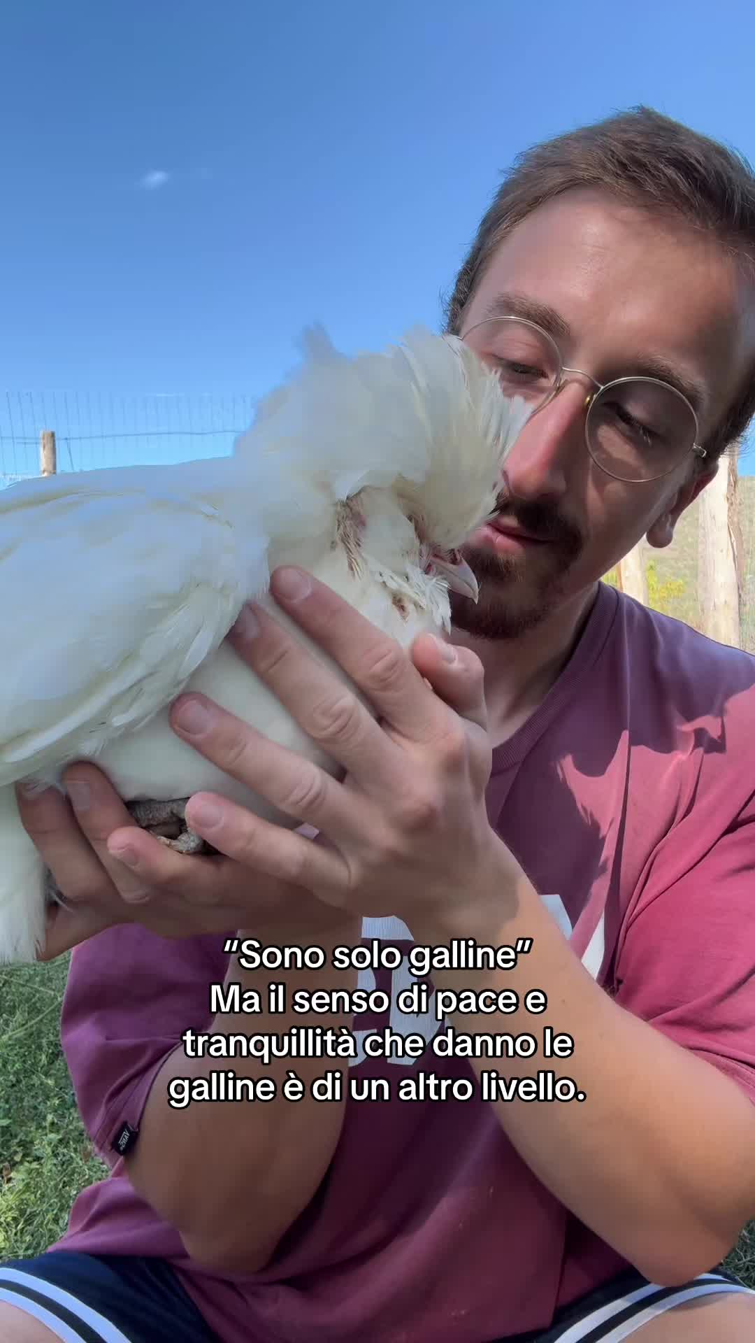 @AlbertoMaurizi